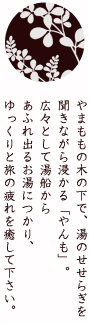 やまももの木の下で、湯のせせらぎを聞きながら浸かる「やんも」。広々として湯船からあふれ出るお湯につかり、ゆっくりと旅の疲れを癒して下さい。